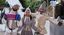 Il Fantastico Castello di Babbo Natale 24 dicembre – LA VIGILIA DI NATALE