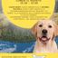 Dog Trekking – presso la Riserva Naturale Pian di Gembro