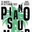 Piano Summer Salento