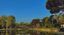 Forest Bathing a Villa Ada