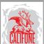 CALIFONE LIVE @ CARACOL PISA