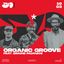 ORGANIC GROOVE feat. Simone Padovani