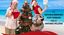 UN NATALE FUORI STAGIONE – replica