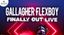 Gallagher Flexboy – Finally Out Live @palatlantico – 19 ottobre 2019