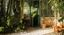 ROMA NATURE WEEK | 12 ottobre 2024