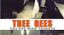 The Bee Gees Tribute