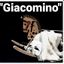 GIACOMINO 1 dic