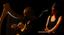WHISKT TRAIL in concerto