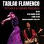 Tablao flamenco spettacolo di flamenco tradizionale
