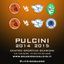 Pulcini 2015 e 2014