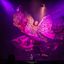 Bizarre Burlesque – EXOTICA