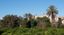 Appuntamento in Giardino 2022 – Palazzo Bacile, Spongano – 5 GIUGNO 2022