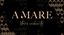 A.Mare Stars and Charity
