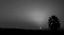 Sognando Brassaï: la Notte, il Mistero e le Atmosfere Oniriche! – Nuova Data