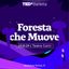 TEDxBarletta 2024 – Foresta che Muove