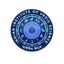 Indian Institute of Vedic Science