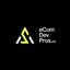 eCommerce Development Pros