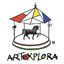 ARTEXPLORA