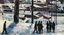 Diaframma – 40 anni di Siberia