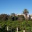 Appuntamento in Giardino 2022 – Palazzo Bacile, Spongano – 5 GIUGNO 2022