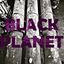 Black planet