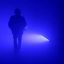 NELLA SOLITUDINE DEI CAMPI DI COTONE
