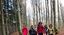 La straordinaria Foresta della Lama