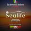 LA DOMENICA ITALIANA SEALIFE