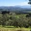 Firenze, escursione alle pendici del Monte Morello
