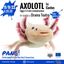 Axolotl