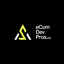 eCommerce Development Pros