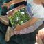 La Campeggia BABY – Laboratorio “Si accendono lucciole” con Ricordi Music School.