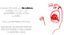 Vocal workout online – Focus sul training vocale