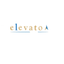 Elevato Shoes