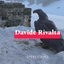 Verso sera / Davide Rivalta