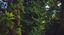 Nature Therapy al Museo Orto Botanico di Roma