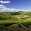 Le Vie Maremmane del Chianti