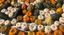 CAMPO DI ZUCCHE U-PICK A GALBIATE 08 ottobre