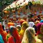Primavera Baisakhi: l’ anima degli indiani Sikh nel cuore dell’Agro Pontino!