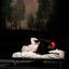 OPERABIANCO – Trickster / 12.09.2025 / Venere in Teatro