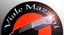Viale Mazzini MINA tribute band