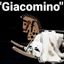 GIACOMINO