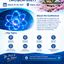 World Conference on Quantum Computing and Applications (WCQCA-2027)