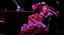 LE CINQUE ROSE DI JENNIFER, Teatro Maria Caniglia Sulmona 19/11/2023