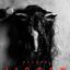SAW: LEGACY all’Arena Green Paradise il 17 luglio 2018
