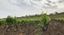 Trekking tra bagli e vigne delle tenute Chiarelli Rossotti