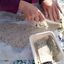 Crackers al grano saraceno
