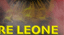 Re Leone 19.11.2023