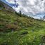 Dolomiti di Brenta e Val di Sole una settimana di trekking